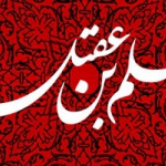 نشست علمی «کوفه و جریان تشیع در ارتباط با قیام مسلم»برگزار می شود